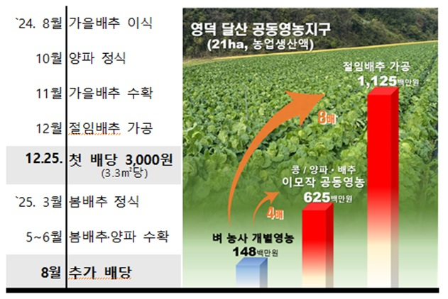 영덕 달산 공동영농지구 이모작 일정. 사진 제공=경북도