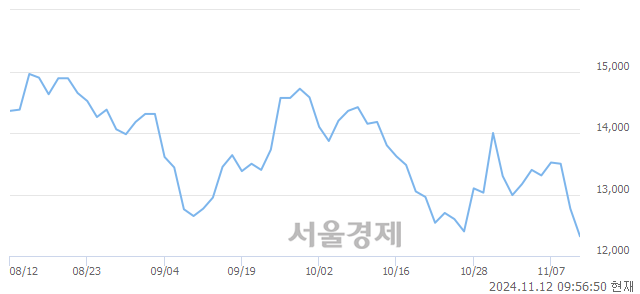 유현대비앤지스틸, 장중 신저가 기록.. 12,180→12,150(▼30)