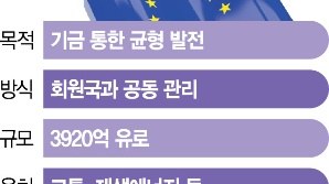 트럼프 시대 대비하는 EU, 국방 지원에 기금 전용 허용 [트럼프 2.0시대]