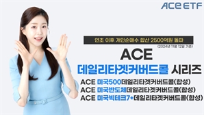 월배당 인기는 계속…ACE 커버드콜 ETF 3종, 개인 순매수 합산액 2500억 돌파