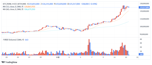 13일 오후 12시 48분 기준 비트코인(BTC) 가격 차트./출처=빗썸