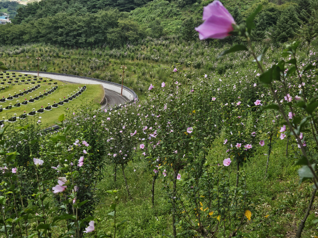 거창사건추모공원 무궁화동산 전경. 사진 제공=경남도