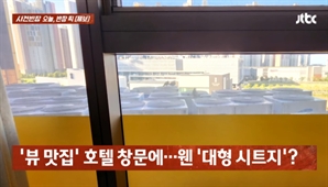 "호텔 '장애인 객실'서 밤새 웽웽"…시트지로 가려진 창문 열어보니 '이것' 수십대