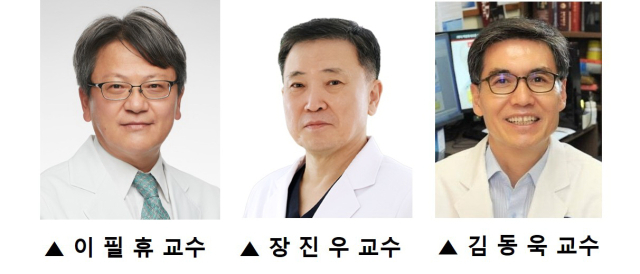 이필휴(왼쪽부터) 세브란스병원 신경과 교수, 장진우 고대안암병원 신경외과 교수, 김동욱 연세대 의대 생리학교실 교수. 사진 제공=각 병원