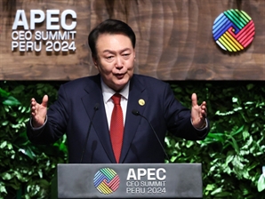 尹 "AI 대전환 시대 APEC AI 표준 포럼 창설 제안"