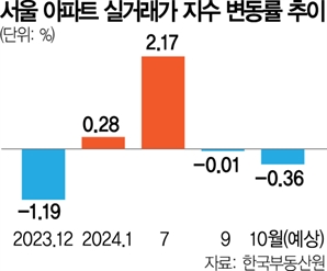 대출규제 강화 여파 서울도 주춤…아파트 실거래가지수 올 첫 하락