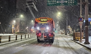 강남구, 제설대책본부 가동…제설자재·도로 열선 확대