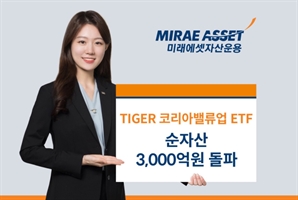 '업계 최저 수수료'…TIGER 코리아밸류업 ETF, 순자산 3000억 돌파