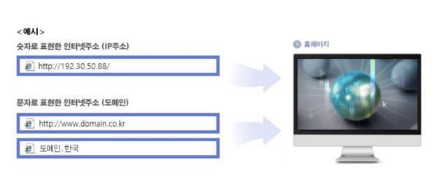IP주소와 도메인의 차이를 설명하는 인포그래픽. 사진 제공=한국인터넷진흥원