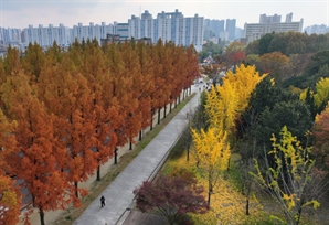 [오늘의날씨]전국 대체로 맑아…아침 영하권 지역도