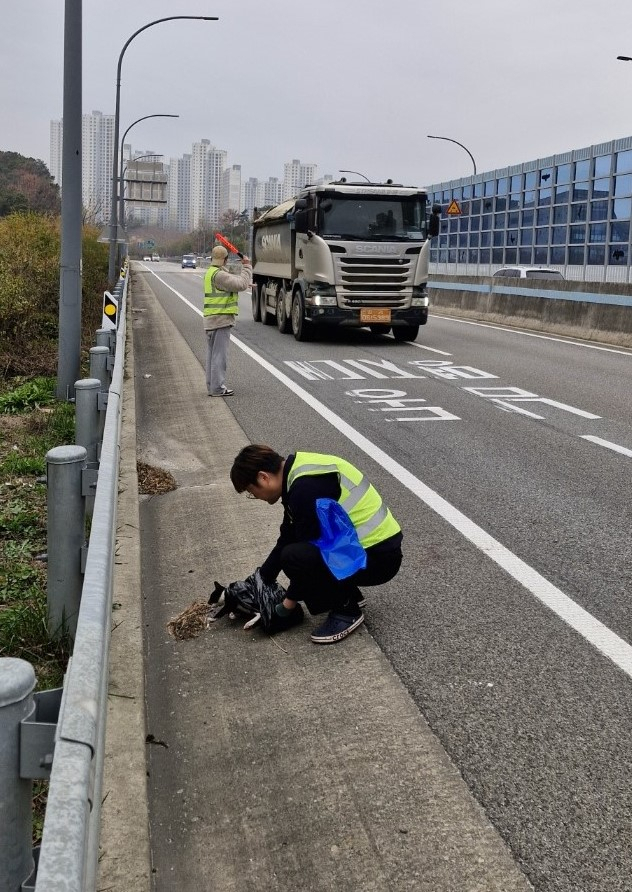 ‘로드킬과의 전쟁’ 속전속결만이 능사?[경기톡톡]