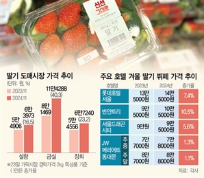 "딸기 시즌인데 비싸서 못 먹겠네"…이상고온에 출하 지연·물량 급감