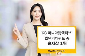 퇴직연금 실물이전제도 수혜…'KB 머니마켓액티브' 초단기채 펀드 중 순자산 1위