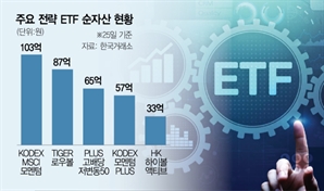 "테마형 잘 나가는데 굳이"…전략형 ETF, 올해만 벌써 12개 상폐