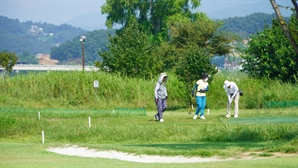 충남 파크골프장 농약 잔류량 검사 결과 '안전'