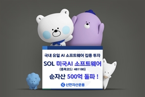 한 달 새 3배 '쑥'…'SOL 미국AI 소프트웨어' 순자산 500억 돌파