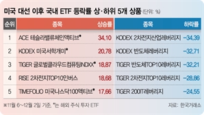 美 대선 후 해외주식 쏠림 심화…韓주식 ETF 수익률 초토화