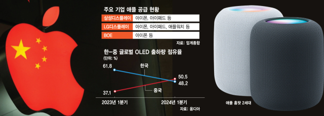 [단독] 韓 업체 제치고…中, 애플 홈팟에 OLED 첫 단독공급