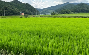 "유기농 1번지" 역대 최대 친환경농업직불금 투입하는 전남