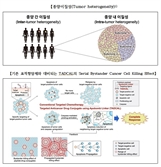 파로스젠 표적항암제 임상 1상 이달 시작