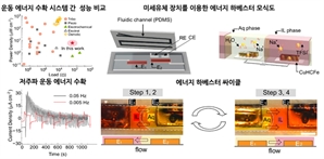 일상 움직임으로 기기 충전…KAIST·난양공대 공동 개발[사이언스씬]