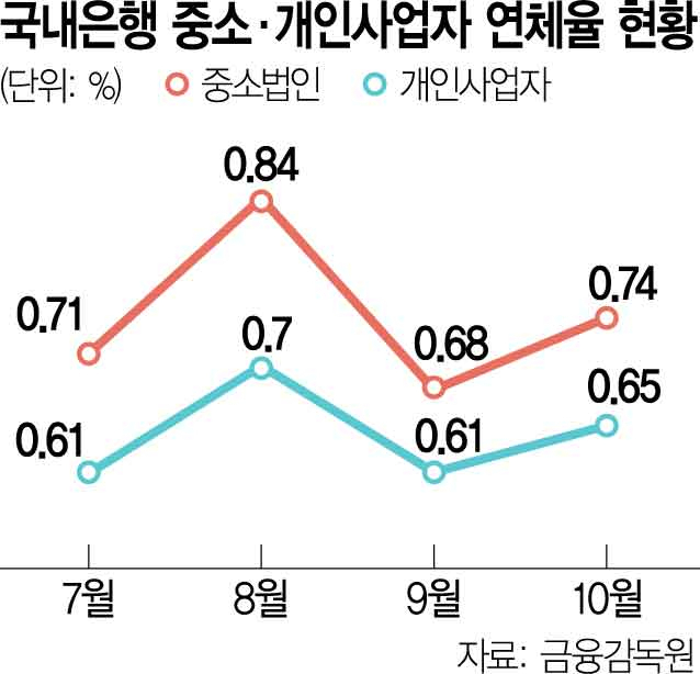 中企·가계신용 연체율 껑충…금융당국 “채무조정 활성화”