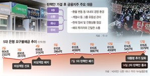 尹 탄핵에 금융권, "최악은 피했다…비상대응은 지속"