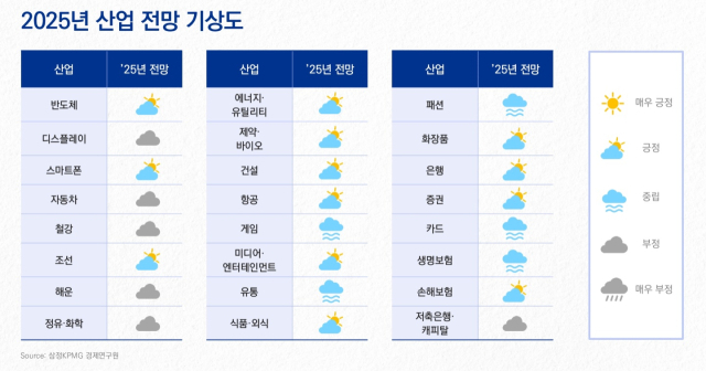 자료 제공=삼정KPMG