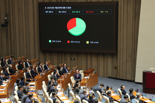 10일 국회 본회의에서 2025년도 예산안에 대한 수정안이 통과되고 있다. 연합뉴스