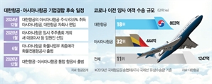 조원태 "안전 담보하지 않으면 통합 항공사 존재 이유 없다" [biz-플러스]