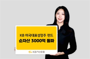 올 수익률 53%…KB '美 대표 성장주 펀드' 순자산 3000억 돌파