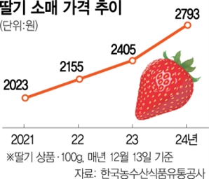 매년 늦어지는 겨울 딸기…이상 고온에 ‘金값’ 됐다 [똑똑!스마슈머]