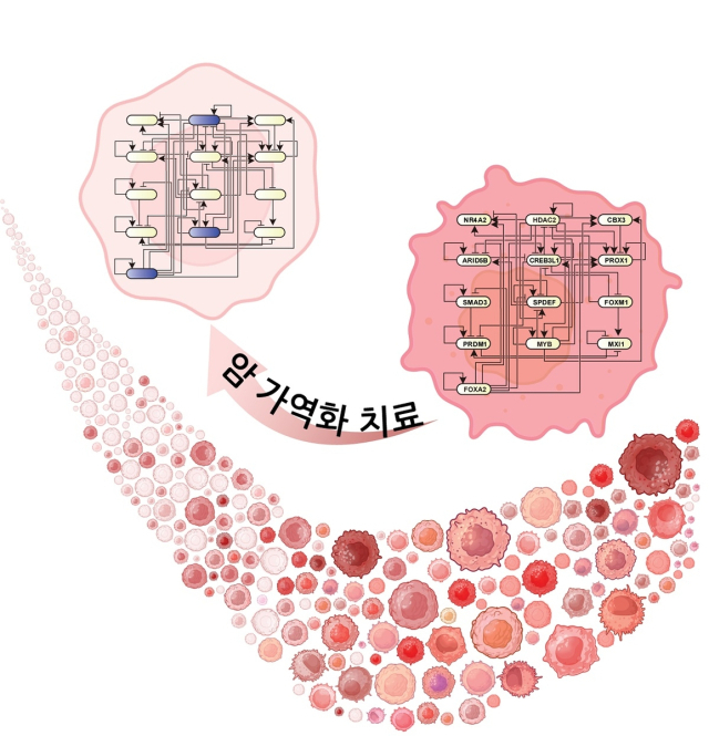 조광현 교수팀의 연구결과 모식도. 사진 제공=KAIST