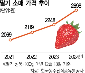 "딸기 몸값 낮춰라" 묘책 꺼내는 유통가