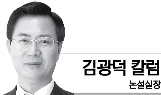 [김광덕 칼럼] 지금은 개헌이 아닌 개혁을 해야 할 때다