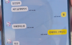 "새가 날개에 껴서 착륙 못하는 중"…추락 여객기 탑승객, 카톡 후 연락 끊겨