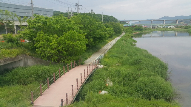 경안천. 사진 제공 = 용인시