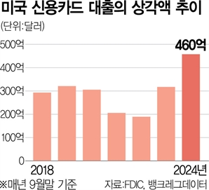 개인대출 부실 '경고등'…美 카드론 디폴트 14년만에 최대