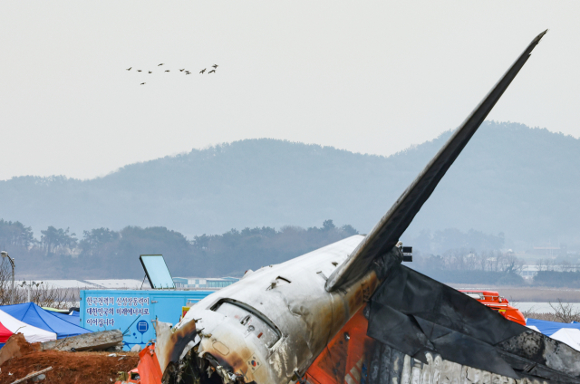 30일 오전 전남 무안군 무안국제공항 제주항공 여객기 충돌 폭발 사고 현장 인근. 연합뉴스