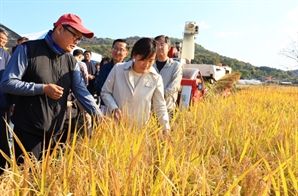 벼 재배면적 8만㏊ 감축…농업수입안정보험 확대[2025년 이렇게 달라집니다]