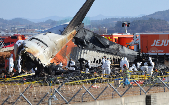 31일 전남 무안군 무안국제공항 제주항공 여객기 참사 현장에서 경찰 과학수사대와 국과수가 현장 조사를 하고 있다. 연합뉴스