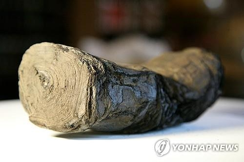베수비오 화산 폭발로 인해 숯처럼 검게 그을린 2000년 된 파피루스 두루마리. 펼치려고 시도하는 순간 바스라질 위험이 크다. 연합뉴스