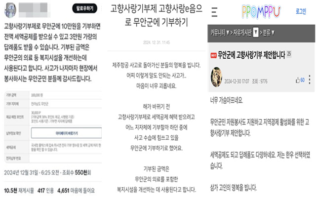 인터넷 커뮤니티와 SNS서 이어진 무안군 기부 독려글. 사진=행정안전부 제공