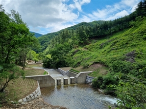 산림피해 선제적 대응…경기도, 산불·산사태 예방 486억 투입