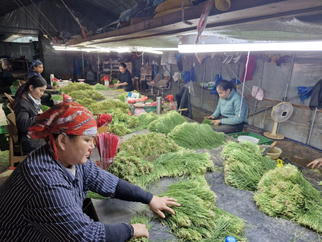 연천군 외국인 계절근로자. 사진 제공=연천군