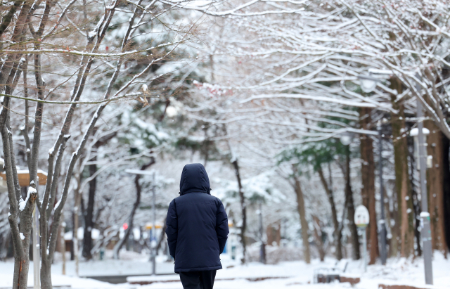 7일 광주 서구 한 공원에서 시민이 눈 내린 설경을 감상하며 산책을 하고 있다. 연합뉴스