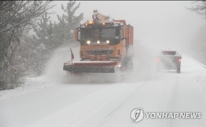 제주 산지 폭설…일부 도로·한라산 등 운행통제