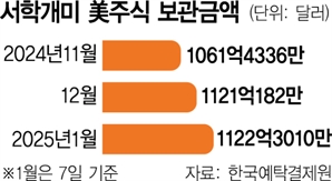 새해도 국장 탈출 여전…4거래일 만에 美주식 보유액 1900억 ‘쑥’