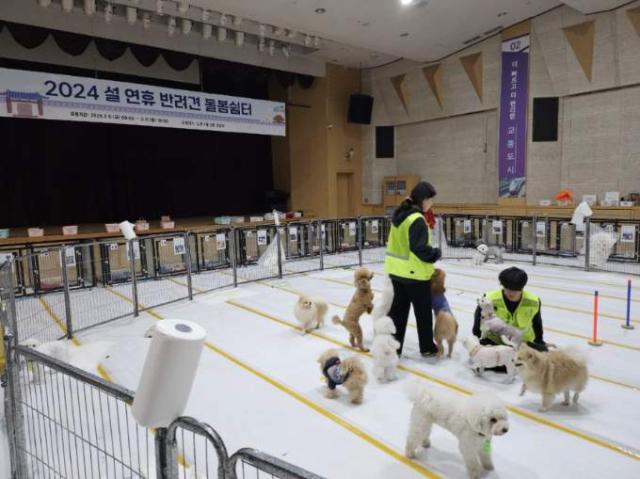 반려견 돌봄쉼터. 사진제공=노원구