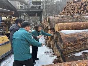 이미라 산림청 차장, 제천 목재산업단지 현장점검